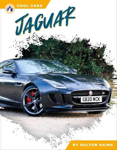 Dalton rains jaguar - dalton,